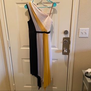 BCBG Plisse color block dress
